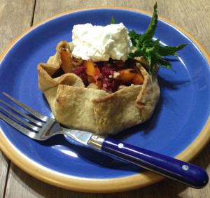 Apricot Raspberry Pecan Tart 2 web