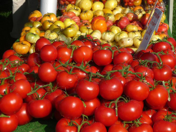 Table full of red, yellow and orange tomatoes