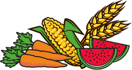 Illustration of produce including carrots, corn, watermelon and wheat