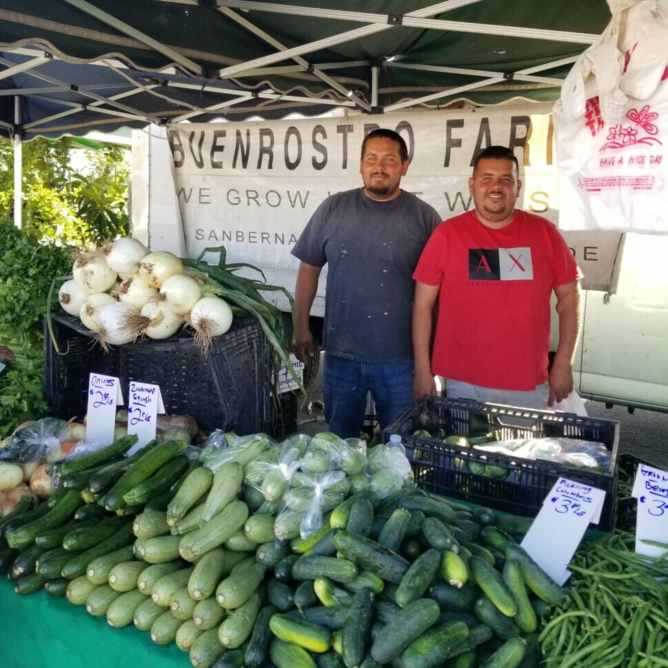 Two men standing behind a table full of onions, squash and cucumbers
