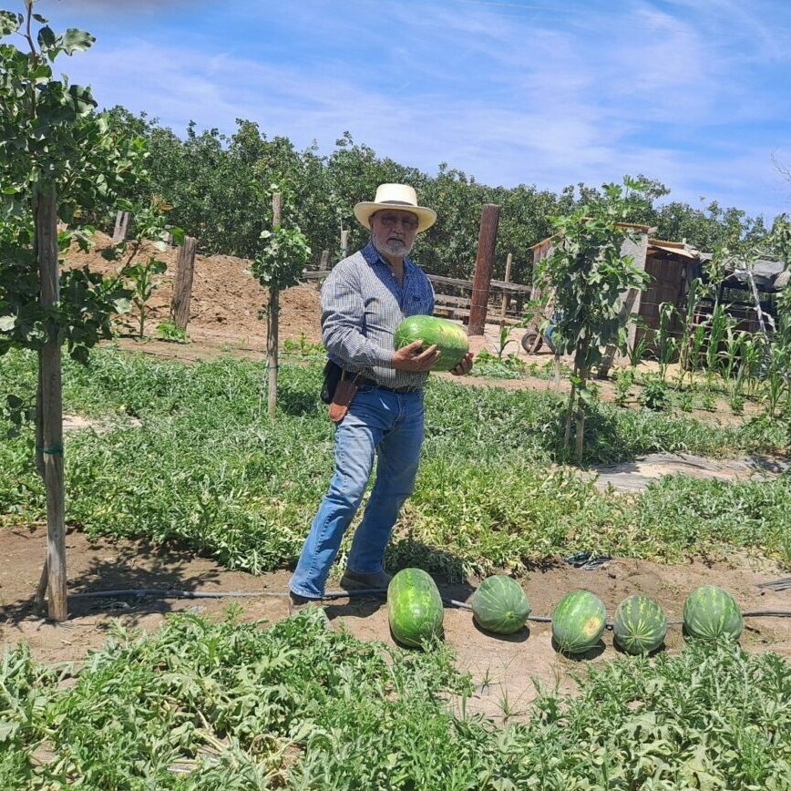 Jose Cisernos in watermelon field holding a watermelon